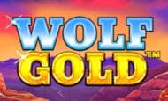 Wolf Gold